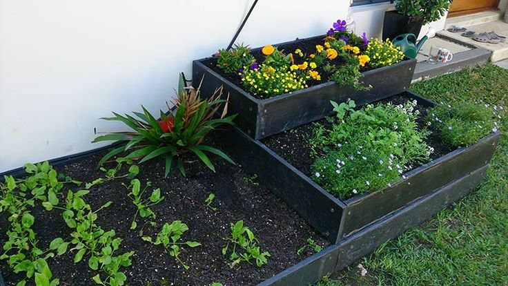 ewood raised bed